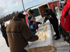 Un Cache-Oreille à Stratford